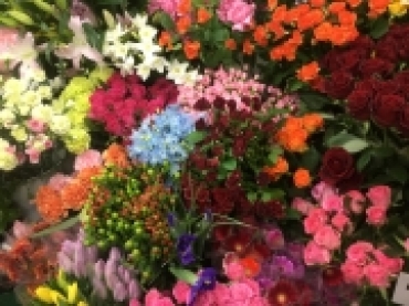 「フローリスト金丸」　（茨城県つくば市）の花屋店舗写真2