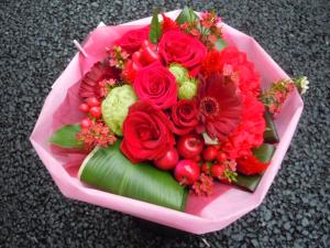 dscn6586