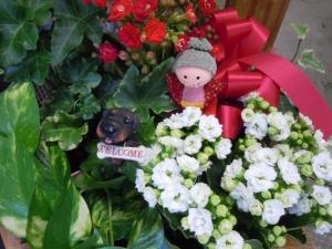 敬老の日｜「フローリスト金丸」　（茨城県つくば市の花キューピット加盟店 花屋）のブログ