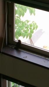 20140519_135401