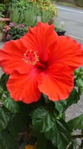 20140720_1636051