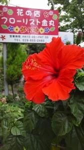 20140720_1636151
