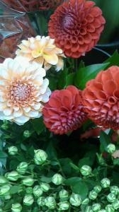 ダリア入荷｜「フローリスト金丸」　（茨城県つくば市の花キューピット加盟店 花屋）のブログ