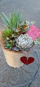 バレンタインデー|「フローリスト金丸」　（茨城県つくば市の花屋）のブログ
