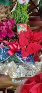 クリスマス　御歳暮|「フローリスト金丸」　（茨城県つくば市の花屋）のブログ