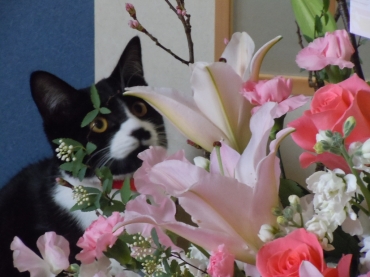 「フローリスト金丸」　（茨城県つくば市）の花屋店舗写真4